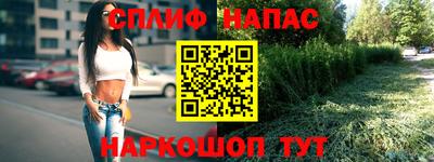 стаф Аргун